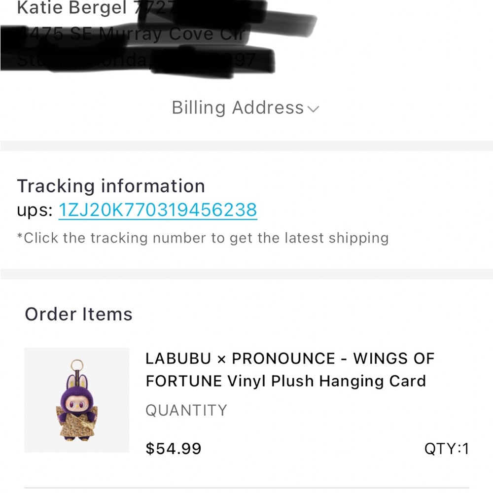 New in boxLABUBU x PRONOUNCE Wings of Fortune Vinyl Plush Hanging Card - Purple